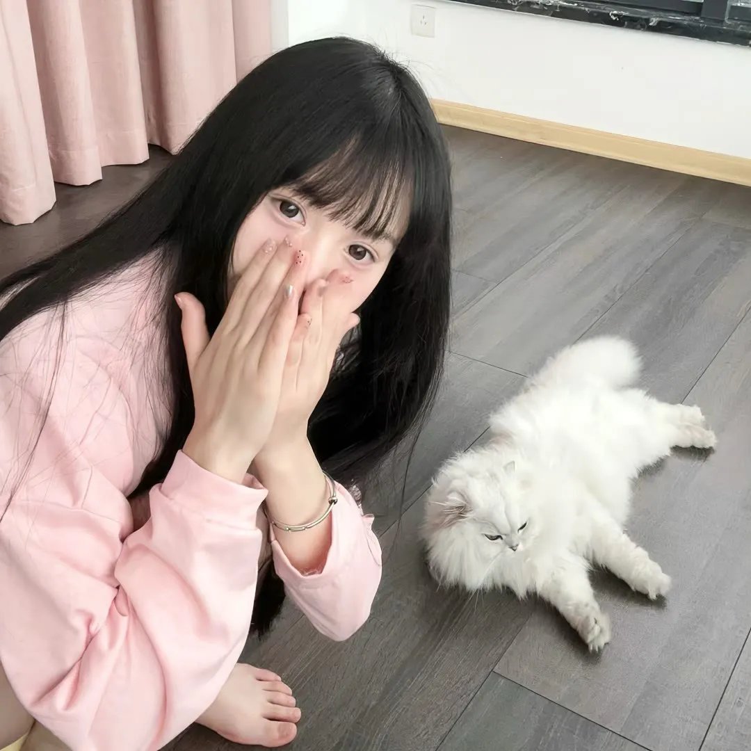 兔子陷阱